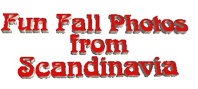 Rebel Vikings - Scandinavian Tour 2006